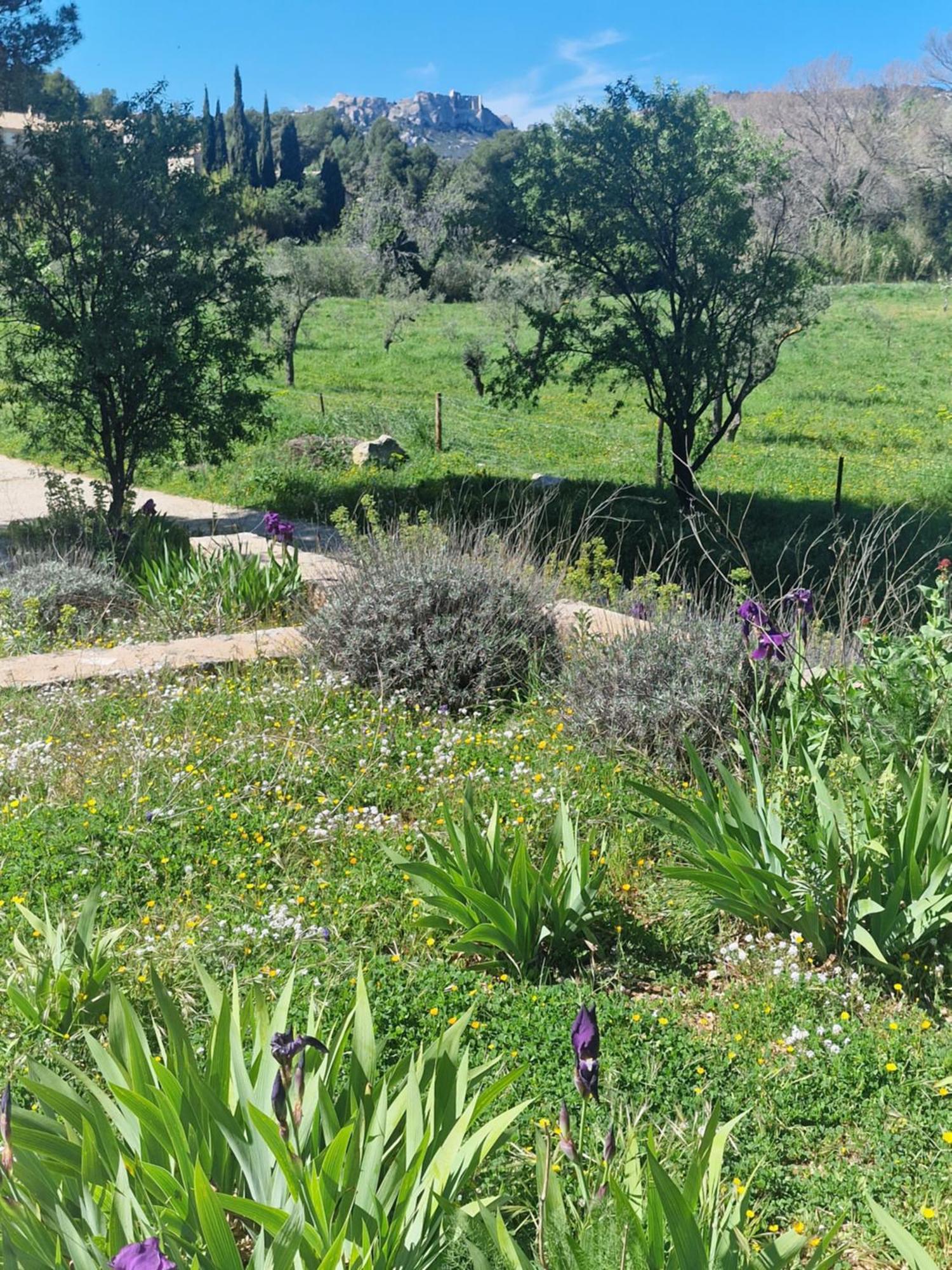 Domaine Du Mas Foucray Aparthotel Les Baux-de-Provence Luaran gambar